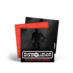 Schallplatten-Einleger